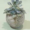 A single rosette succulent arranged in a whimsical ceramic planter shaped like