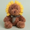 A plush brown teddy bear styled like a sunflower makes a playful