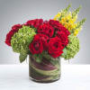 Bold, patriotic and full of energy - this floral arrangement celebrates the