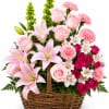 Soft pink roses and lilies mingle with bright pink carnations and white