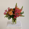 Gem Star is for when you want flowers that actually stop people