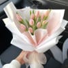 10pc Tulip Wrapped on paper 
