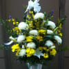 Mixture of yellow and white flowers.