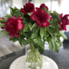 Beautiful Red Charm Peonies
Arranged in a glass cylinder vase with 12 Stems
Standing