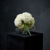 Hand gathered hydrangeas clustered together and placed in a cylinder vase accented