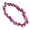 Purple and white orchid lei on a black background