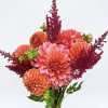 Bright color dahlias mixed with Astilbe. This is a hand-tied bouquet