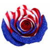 Limited edition- painted natural rose, designed for special 250 year celebration.