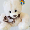 Cream plush teddy bear with a checked brown bow sitting against a light background