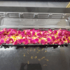 Hot pink and gold graduation lei Double 