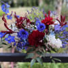 Celebrate Independence Day with these red, white, and blue blooms. Featuring our