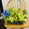 Green orchids and blue flowers in a rectangular wooden container