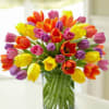 Bouquet of multicolored tulips in a clear glass vase