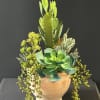 A sculptural tabletop plant arrangement that brings desert-chic style indoors - perfect