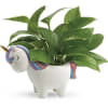 Any event feels extra special when honored with a lush, living plant