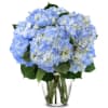 Nice and beautiful arrangement for all occasions. Will be delivered as similar