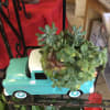 chevy truck filled with succulents 