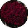 Two lavish bouquets of roses-one pure white and one deep red-wrapped in