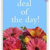 Bright, cheerful blooms form a colorful band across the bottom of this