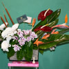 Exotic tropical arrangements for any occasion, with anthurium birds of paradise. Perfect