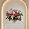 Compact and abundant flowers in soft pink and white blooms with touches