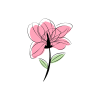 Designer's Choice Arrangement