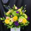 vivid yellow, green and purple colors