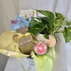 A gift basket for any occasion! Call us for more details- out