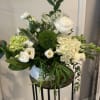 A beautiful loose modern styling of the classic green and white featuring