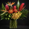 Bold tropical blooms and glossy green foliage combine in a sculptural display