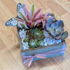 A bright, gift-ready indoor planter that feels like a little celebration -