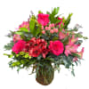 Bold ombination of hot pink flowers 