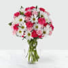 The prettiest display of bright pink and white blooms, bringing a bright