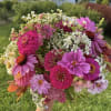WHAT IS GROWING NOW, DAISY, ROSE, LARKSPUR, DAHLIA (DEEP ORANGE ) LAVENDER