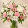 Description &amp; Substitution Policy

Delight someone special with the soft beauty of Sweet