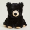 A cuddly black plush teddy bear with cream-colored snout, inner ears, and
