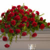 This classic half-couch spray of brilliant red carnations makes a striking and