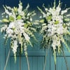An arrangement consisting of white orchids, lilies, gladiolus, and green hydrangeas, that