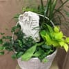 Naturally lovely, this lovely plant garden is an inspired way to pay