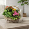 A sweet woven basket gathering of blooming and green plants . 