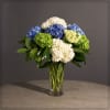 Mixed Hydrangeas in a Large Glass Vase.

Approximately 21 H x 18" W
