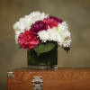 All in Bloom 6