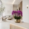Seven Luxury Purple Phalaenopsis orchid Arrangement designed for gifting with a Gold