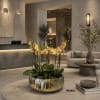 Seven Luxury Peach Phalaenopsis orchid Arrangement designed for gifting with a Gold