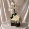 A timeless and elegant floral arrangement featuring premium white roses paired with