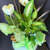 Tropical arrangement with pale flowers and large variegated leaves in a round vase