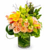 A stunning fusion of tropical elegance and timeless romance, Golden Orchid Symphony