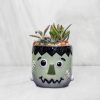 Succulent arrangement in a Frankenstein face planter