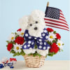Unleash smiles with our Yankee Doodle Doggie. Crafted from red and white