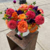 Beautiful mix of fresh blooms arranged in a vase or container.
All of